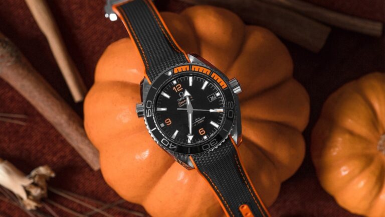 omega seamaster vs planet ocean