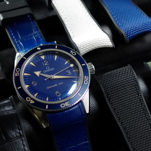 Omega Seamaster vs Planet Ocean, Ini Penjelasan Desain hingga Fiturnya!